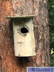 pönttö.jpg