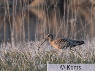 DSC_1535.jpg