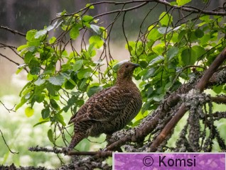 DSC_3448.jpg
