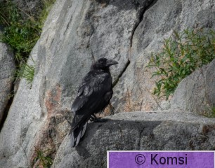 DSC_3934.jpg