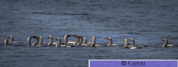 DSC_3694.jpg