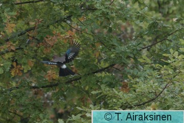 narhi_DK5A9125.jpg