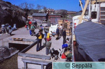 Raimo Seppälä 3.jpg