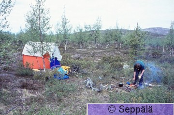 Raimo Seppälä 8.jpg