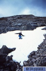 Raimo Seppälä 13.jpg