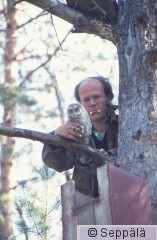 Raimo Seppälän kuva Marasta lehtopöllön poikasen kanssa.jpg