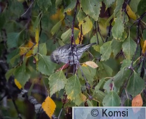 DSC_8894.jpg