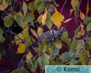 DSC_8880.jpg