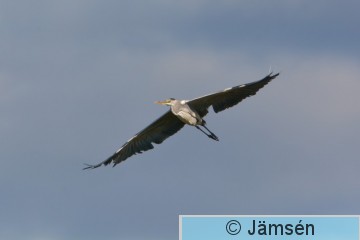 DSC_5995.jpg