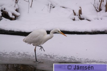 20150123-DSC_8733.jpg