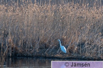 DSC_759802963.jpg