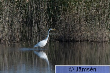 DSC_5677020889.jpg