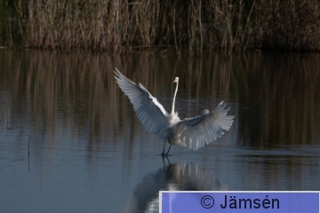 DSC_5727020923.jpg