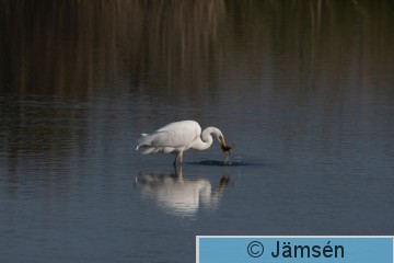 DSC_5741020937.jpg
