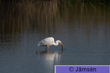 DSC_5832021028.jpg
