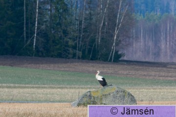 DSC_53728250.jpg