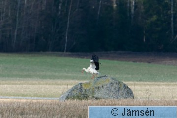 DSC_55288315.jpg