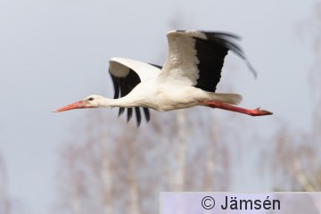 DSC_58748574.jpg