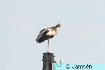 DSC_5141011544.jpg