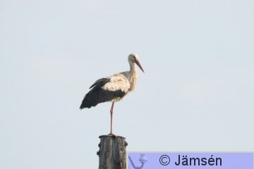 DSC_5142011545.jpg