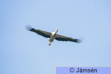 DSC_5679011898.jpg