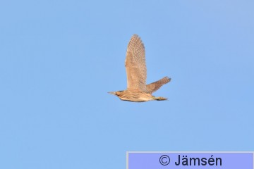20150428-DSC_4719.jpg