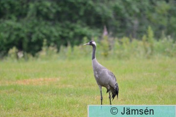 20150723-DSC_4851.jpg