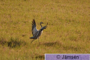 DSC_2404.jpg