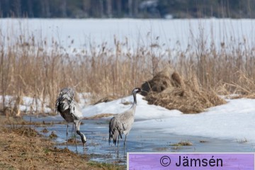 DSC_26486836.jpg