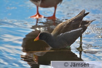 20170416-DSC_1128.jpg