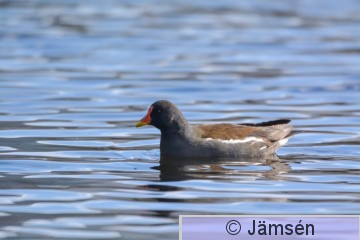 DSC_1186.jpg