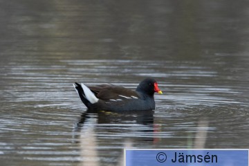 DSC_44255401.jpg