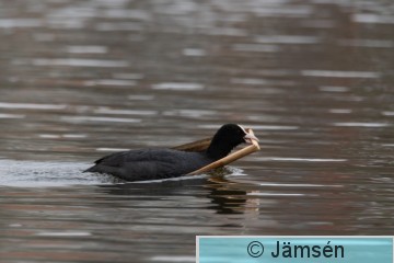 DSC_03084053.jpg