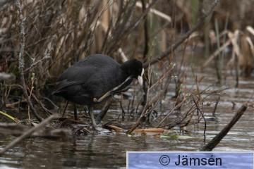 DSC_24304756.jpg