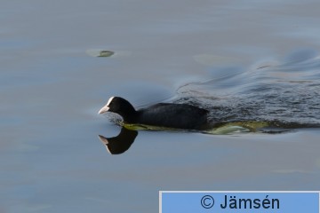 DSC_63035879.jpg