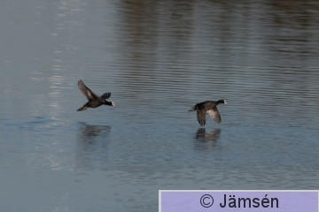 DSC_558902418.jpg