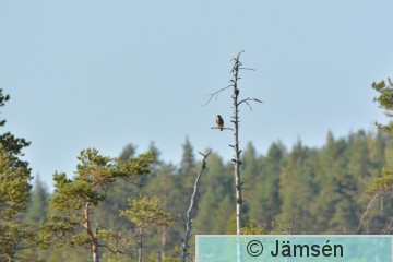 DSC_0832.jpg