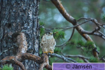 DSC_3422.jpg
