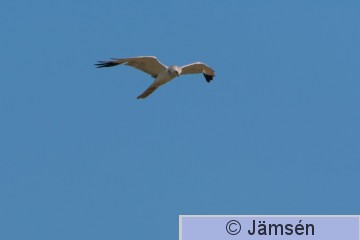 DSC_220614910.jpg