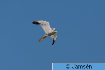 DSC_220814912.jpg
