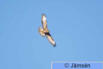 DSC_248218391.jpg
