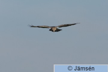 DSC_330418671.jpg