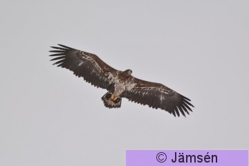 DSC_7094.jpg