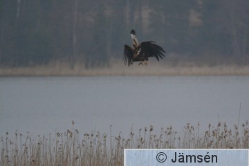 DSC_9847.jpg