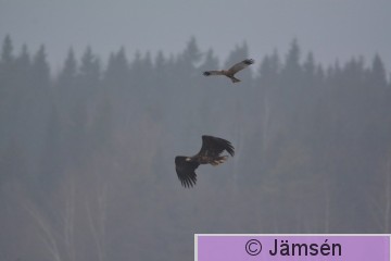 DSC_9855.jpg