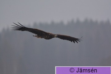 DSC_9917.jpg