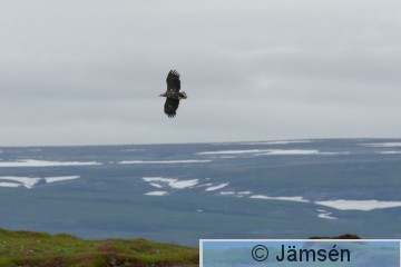 DSC_28520839.jpg