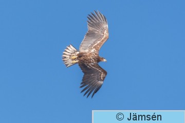 DSC_235202934.jpg