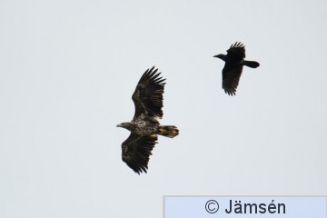 DSC_6922021407.jpg