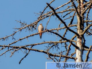 DSCF7097.jpg